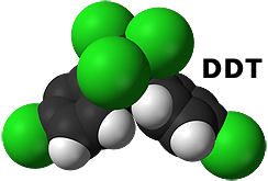 Cause of Hypospadias: DDT?